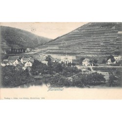Rare collectable postcards of Germany. Vintage Postcards of Germany