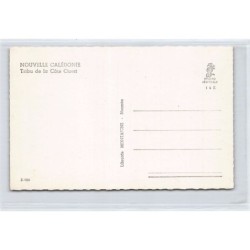 Rare collectable postcards of NEW CALEDONIA. Vintage Postcards of NEW CALEDONIA