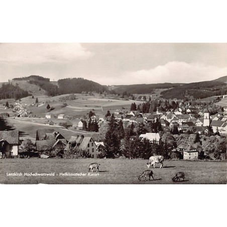 Rare collectable postcards of Germany. Vintage Postcards of Germany