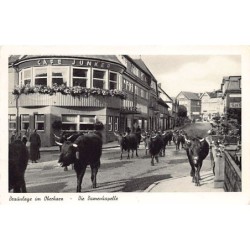 Rare collectable postcards of Germany. Vintage Postcards of Germany