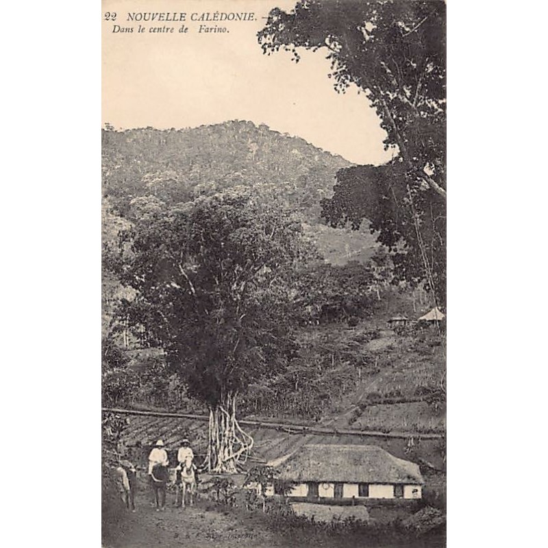 Rare collectable postcards of NEW CALEDONIA. Vintage Postcards of NEW CALEDONIA