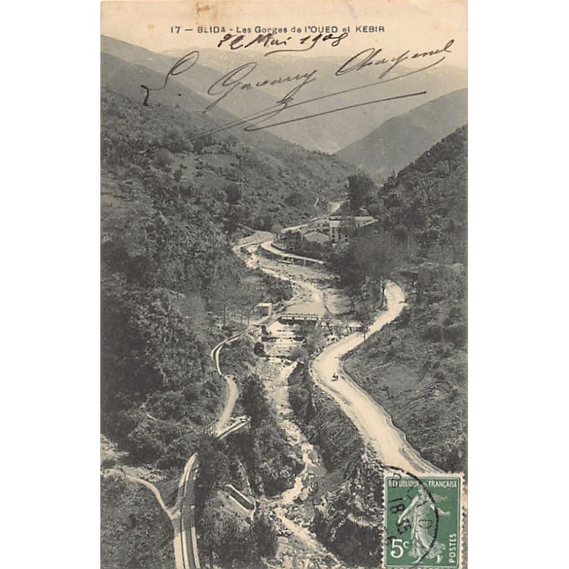 Rare collectable postcards of Algeria. Vintage Postcards of Algeria