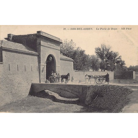 Rare collectable postcards of Algeria. Vintage Postcards of Algeria
