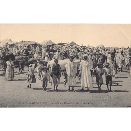 Rare collectable postcards of Algeria. Vintage Postcards of Algeria