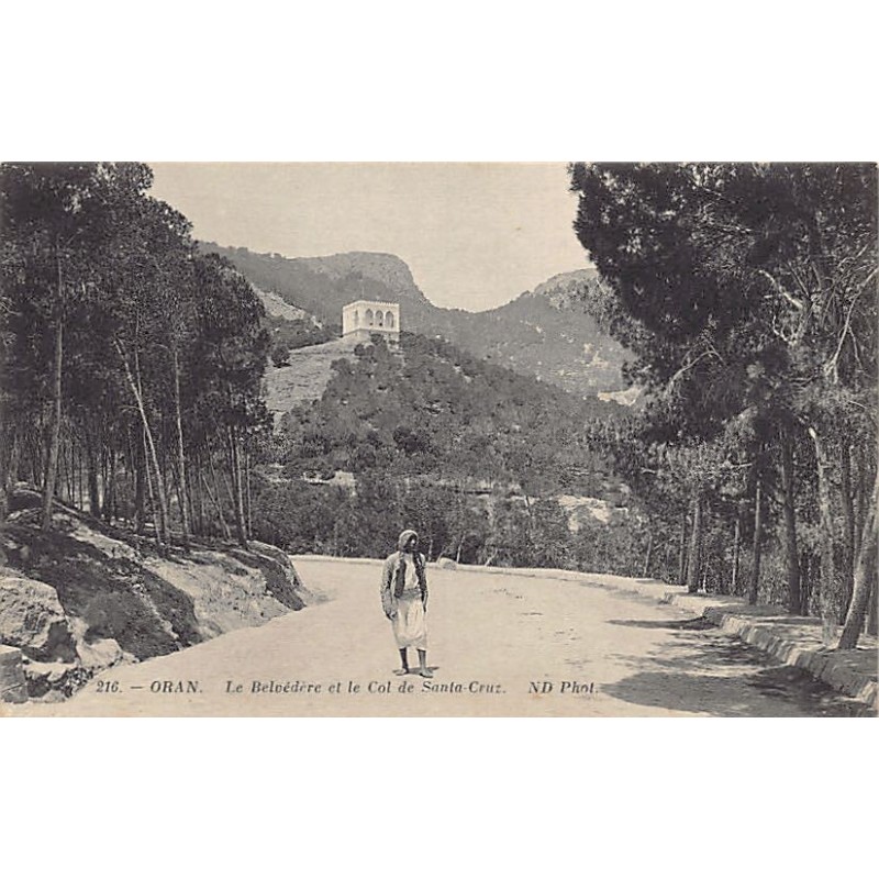Rare collectable postcards of Algeria. Vintage Postcards of Algeria
