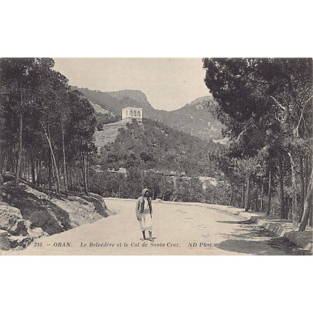 Rare collectable postcards of Algeria. Vintage Postcards of Algeria
