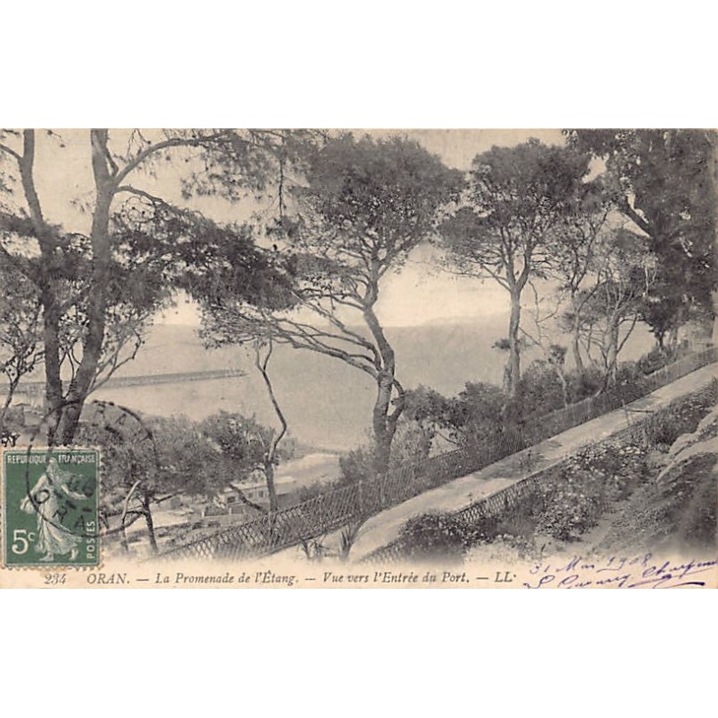 Rare collectable postcards of Algeria. Vintage Postcards of Algeria