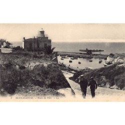 Rare collectable postcards of Algeria. Vintage Postcards of Algeria