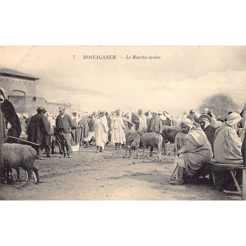Rare collectable postcards of Algeria. Vintage Postcards of Algeria