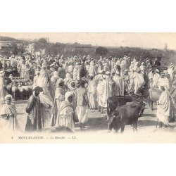 Rare collectable postcards of Algeria. Vintage Postcards of Algeria