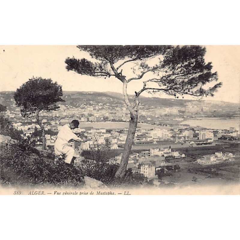 Rare collectable postcards of Algeria. Vintage Postcards of Algeria