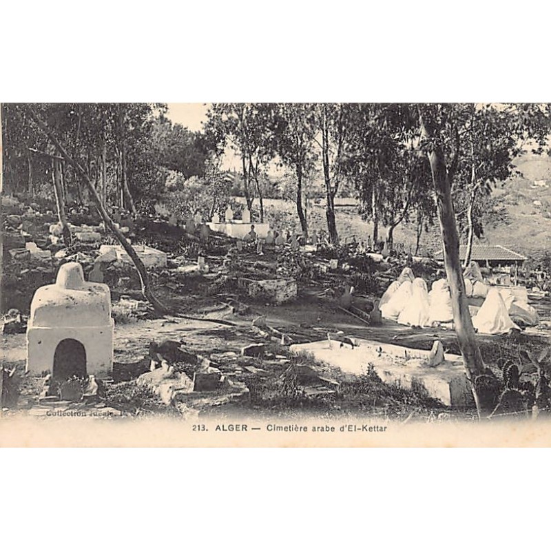 Rare collectable postcards of Algeria. Vintage Postcards of Algeria