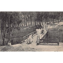 Rare collectable postcards of Algeria. Vintage Postcards of Algeria