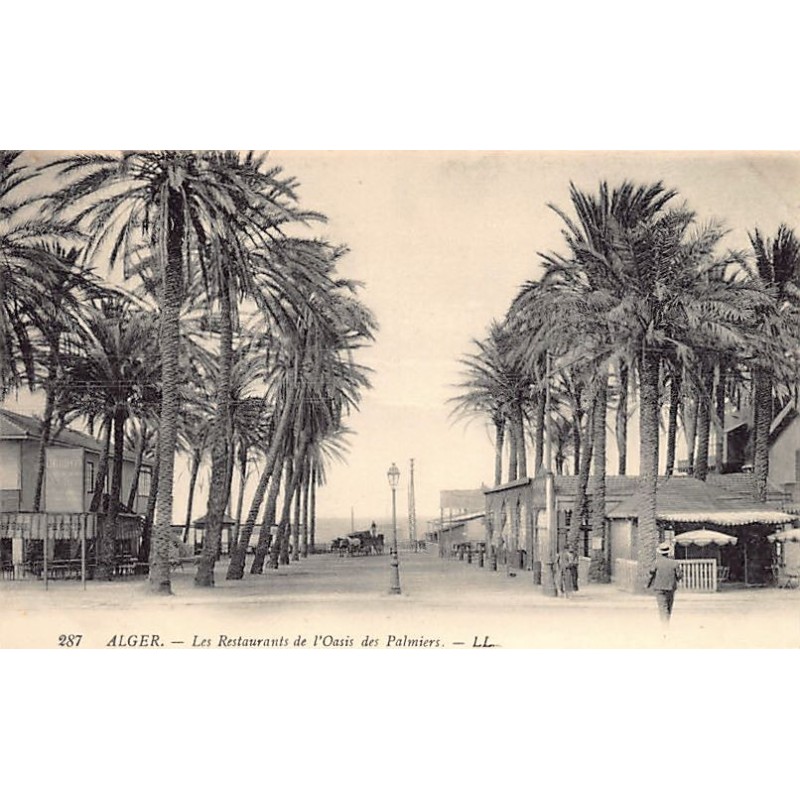 Rare collectable postcards of Algeria. Vintage Postcards of Algeria