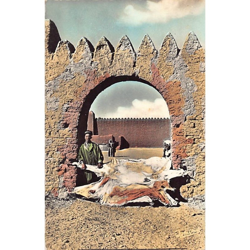Rare collectable postcards of Algeria. Vintage Postcards of Algeria