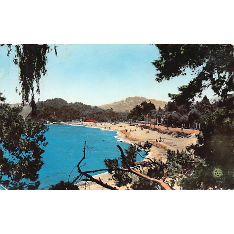 Rare collectable postcards of Algeria. Vintage Postcards of Algeria