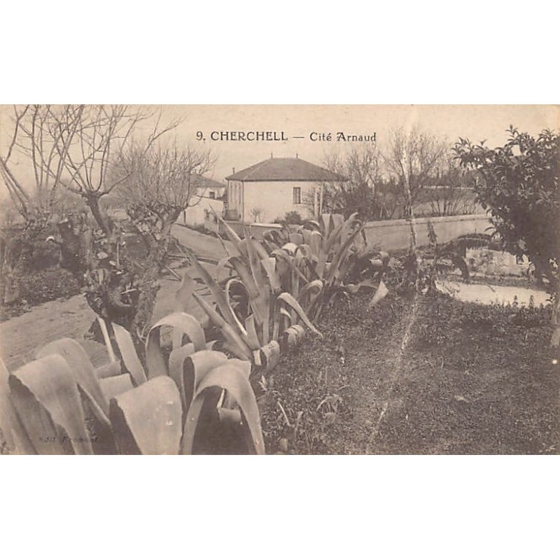 Rare collectable postcards of Algeria. Vintage Postcards of Algeria