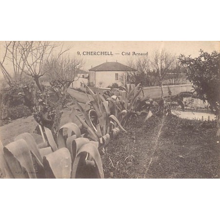 Rare collectable postcards of Algeria. Vintage Postcards of Algeria