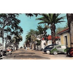 Rare collectable postcards of Algeria. Vintage Postcards of Algeria