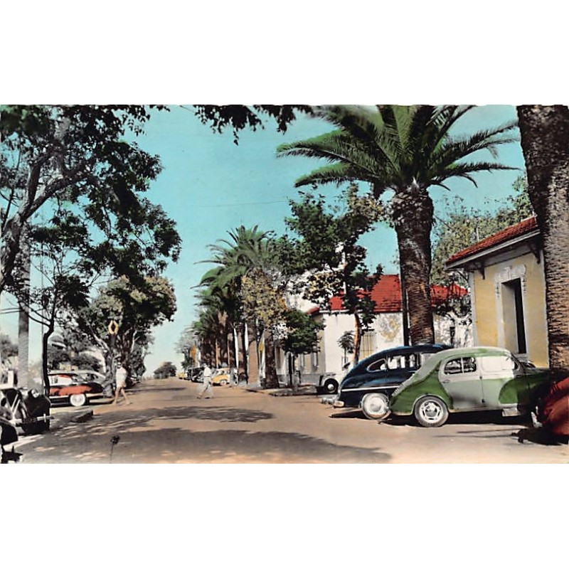 Rare collectable postcards of Algeria. Vintage Postcards of Algeria