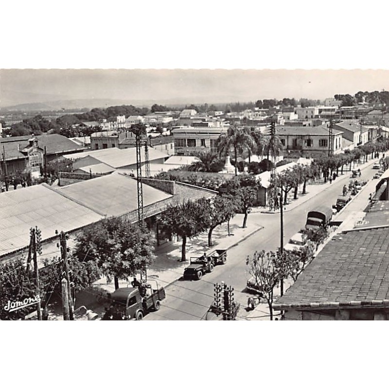 Rare collectable postcards of Algeria. Vintage Postcards of Algeria