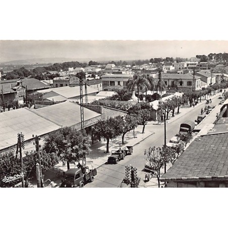 Rare collectable postcards of Algeria. Vintage Postcards of Algeria