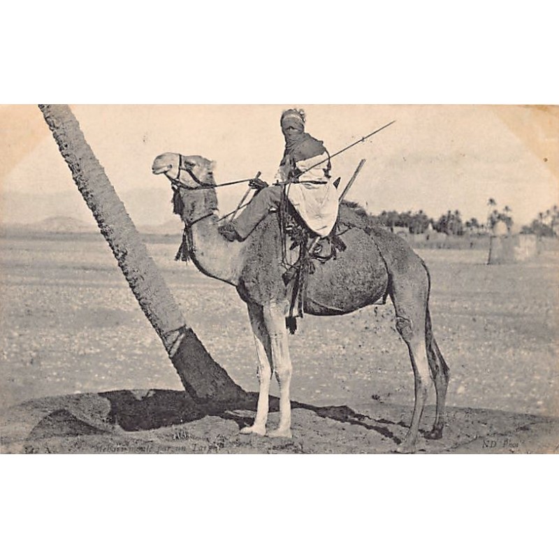 Rare collectable postcards of Algeria. Vintage Postcards of Algeria