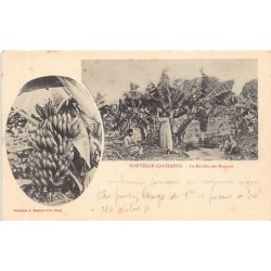 Rare collectable postcards of NEW CALEDONIA. Vintage Postcards of NEW CALEDONIA