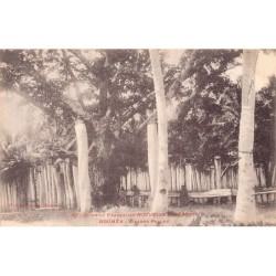 Rare collectable postcards of NEW CALEDONIA. Vintage Postcards of NEW CALEDONIA