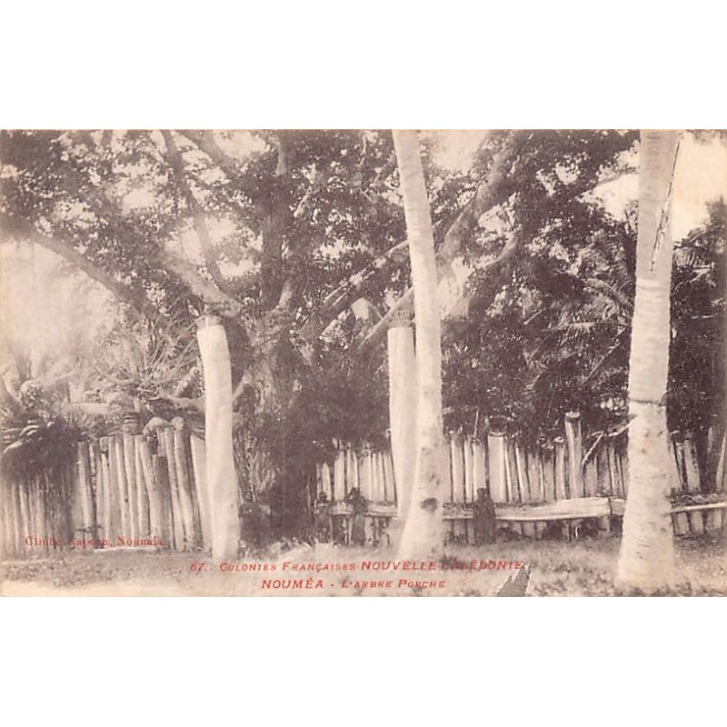 Rare collectable postcards of NEW CALEDONIA. Vintage Postcards of NEW CALEDONIA