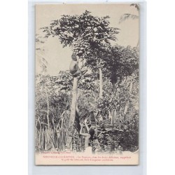 Rare collectable postcards of NEW CALEDONIA. Vintage Postcards of NEW CALEDONIA