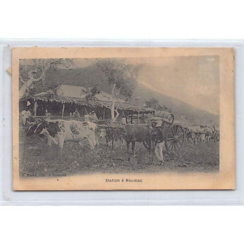 Rare collectable postcards of NEW CALEDONIA. Vintage Postcards of NEW CALEDONIA