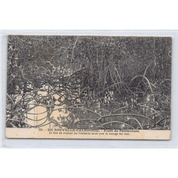 Rare collectable postcards of NEW CALEDONIA. Vintage Postcards of NEW CALEDONIA