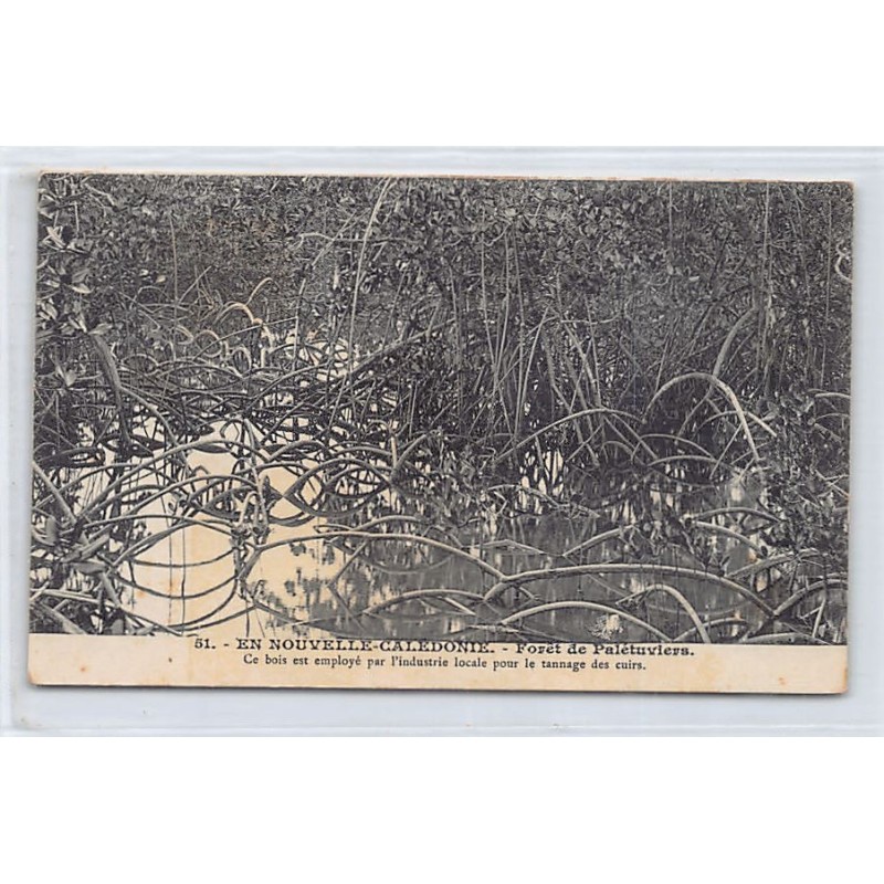 Rare collectable postcards of NEW CALEDONIA. Vintage Postcards of NEW CALEDONIA