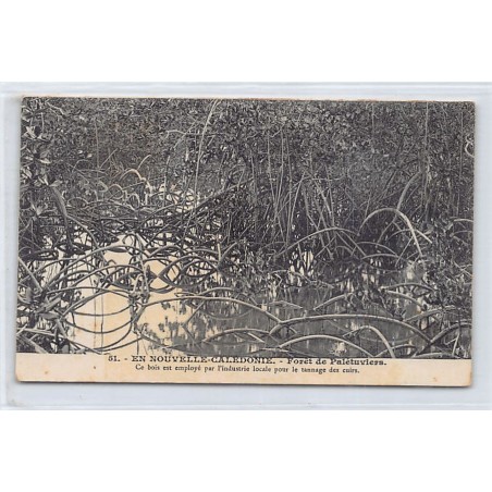 Rare collectable postcards of NEW CALEDONIA. Vintage Postcards of NEW CALEDONIA