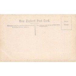 New Zealand - South Bound Express Railway - Ascending the Spirak - Publ. W. Beattie & Co. 1909