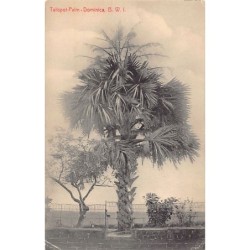 Rare collectable postcards of DOMINICA. Vintage Postcards of DOMINICA