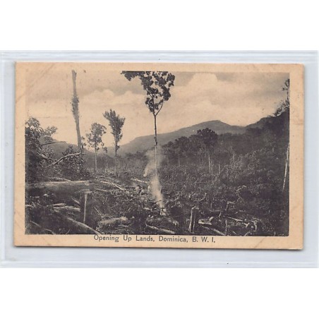 Rare collectable postcards of DOMINICA. Vintage Postcards of DOMINICA