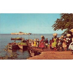 Rare collectable postcards of DOMINICA. Vintage Postcards of DOMINICA