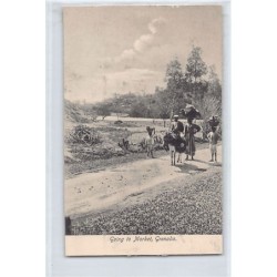 Rare collectable postcards of GRENADA. Vintage Postcards of GRENADA