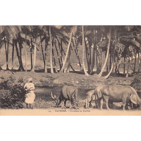 Rare collectable postcards of FRENCH GUIANA. Vintage Postcards of FRENCH GUIANA