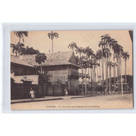 Rare collectable postcards of FRENCH GUIANA. Vintage Postcards of FRENCH GUIANA