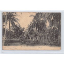 Rare collectable postcards of FRENCH GUIANA. Vintage Postcards of FRENCH GUIANA