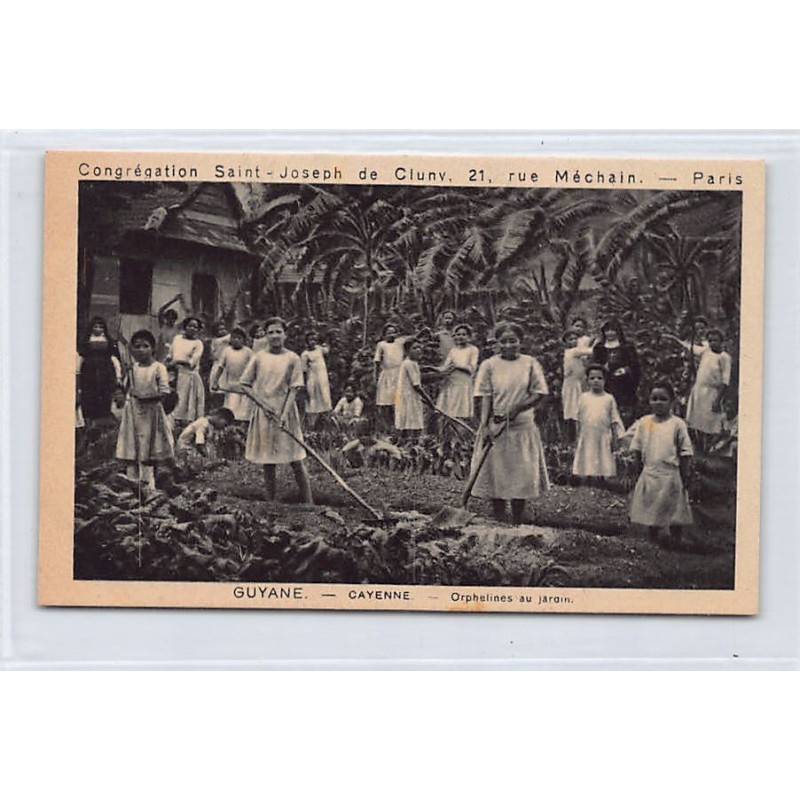 Rare collectable postcards of FRENCH GUIANA. Vintage Postcards of FRENCH GUIANA