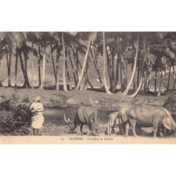 Rare collectable postcards of FRENCH GUIANA. Vintage Postcards of FRENCH GUIANA