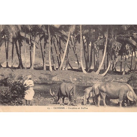 Rare collectable postcards of FRENCH GUIANA. Vintage Postcards of FRENCH GUIANA