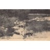 Rare collectable postcards of FRENCH GUIANA. Vintage Postcards of FRENCH GUIANA