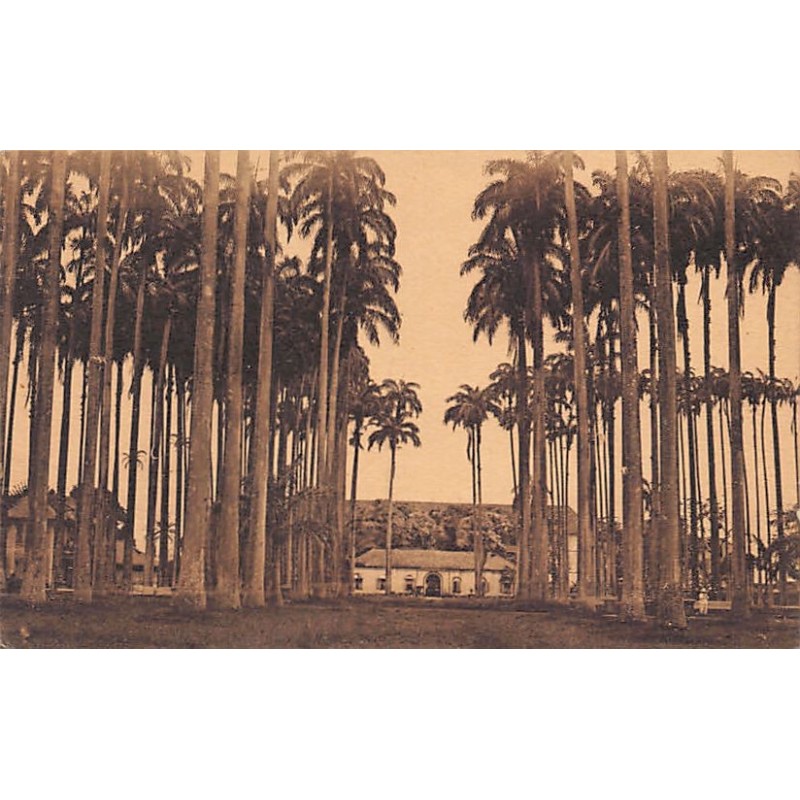 Rare collectable postcards of FRENCH GUIANA. Vintage Postcards of FRENCH GUIANA