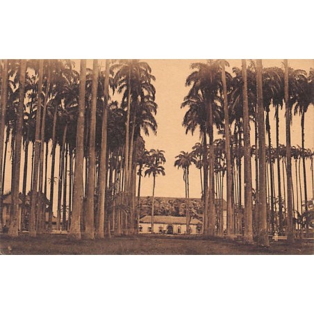 Rare collectable postcards of FRENCH GUIANA. Vintage Postcards of FRENCH GUIANA