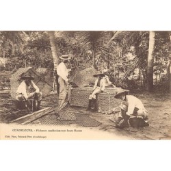 Rare collectable postcards of GUADELOUPE. Vintage Postcards of GUADELOUPE